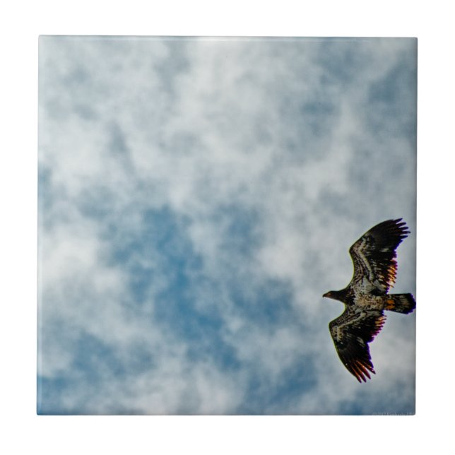 Zukünftige Möglichkeiten Fliese (Vorderseite)