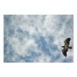 Zukünftige Möglichkeiten Fotodruck