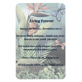 Zukunftsversprechen Magnet