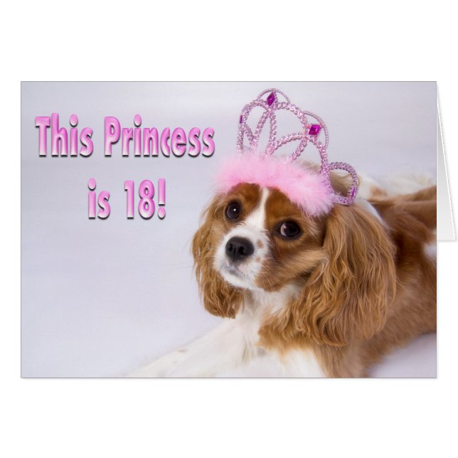 Zum 18. Geburtstag Cavalier King Charles Card (Vorderseite (Horizontal))
