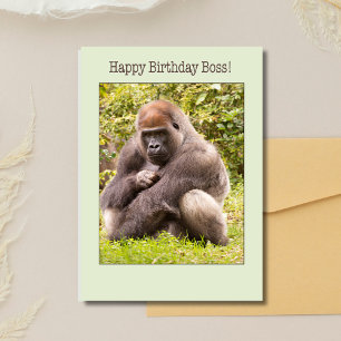 Zum Geburtstag: Boss Gorilla in der Natur Karte