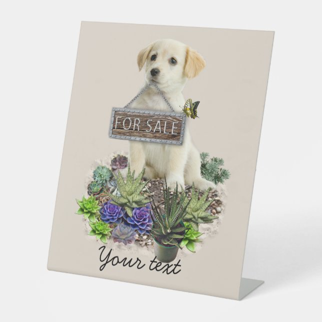 Zum Verkauf angebotene Succula Sockelschild (Vorderseite)