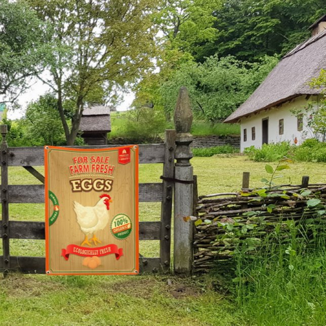 zum Verkauf von Bio frischen Eiern Banner (Von Creator hochgeladen)