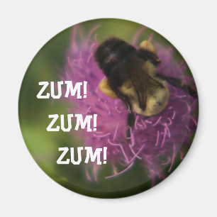 Zum Zum Zum Zum Zum Magnet