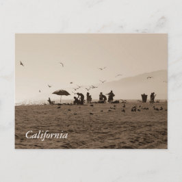 Zuma Beach Postcard Postkarte