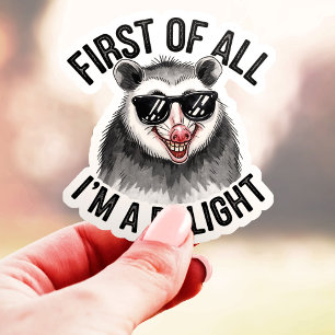 Zunächst einmal bin ich ein Entzücken Opossum Viny Aufkleber