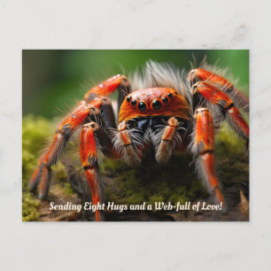 🕷️ Zuneigung Rotes Arachnis Feiertagspostkarte