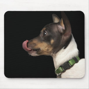 Zunge aus Schwarzweiss-Ratte Terrier heraus Mousepad