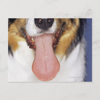 Zunge Postkarte