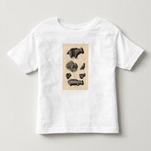 Zuni fetiches kleinkind t-shirt