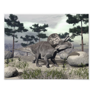 Zuniceratops Dinosaurier - 3D übertragen Fotodruck