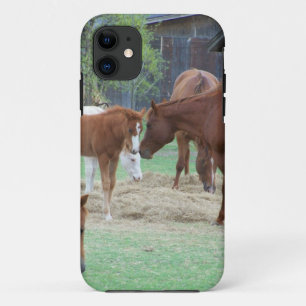 Zur Liebe von Pferden Case-Mate iPhone Hülle