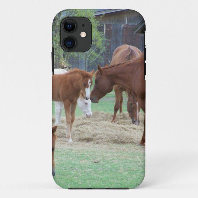 Zur Liebe von Pferden Case-Mate iPhone Hülle (Rückseite)