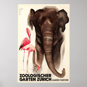 Zürich Schweizer Zoo Elefant Flamingo Tier Poster