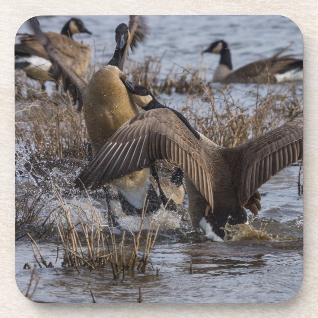 Zurück aus getränkeuntersetzer (Vorderseite)