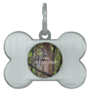 Zurück Painterly Pet ID Tag Tiermarke