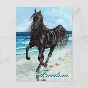 Zurück Stallion Arabisches Pferd Freiheit Postkart Postkarte