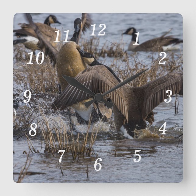 Zurück von der Wall-Uhr Quadratische Wanduhr (Vorderseite)