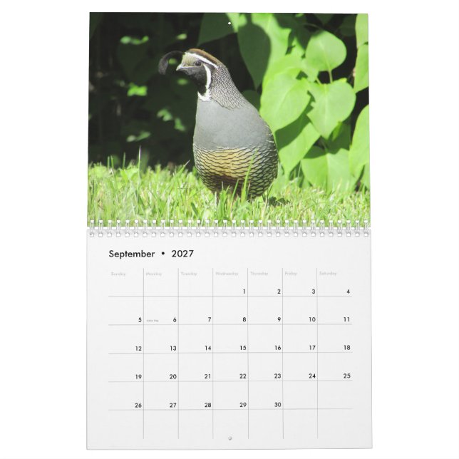 Zurück Yard Vögel!  Vogelbeobachter Kalender (Sep 2027)