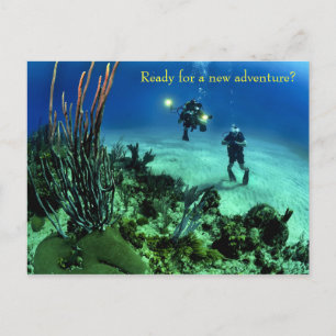 Zurück zu School Deep Sea Diving Adventure Postkarte