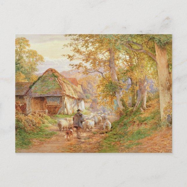 Zurück zum Falten Postkarte (Vorderseite)