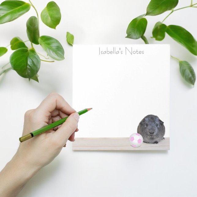 Zurück zur Guinea Pig Pink Soccer Ball Custom Notizblock (Cute custom sticky notes)