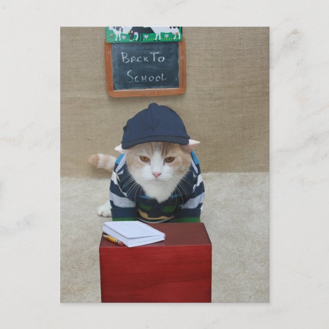 Zurück zur Schule Bubba Postkarte (Vorderseite)