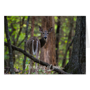 Zurückblickend auf das farbenfrohe Denken Ihrer Ka