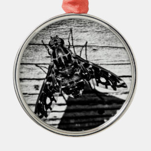 zurückfliegen silbernes ornament