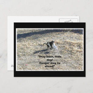 Zurückgezogene kleine Postkarte bleibe