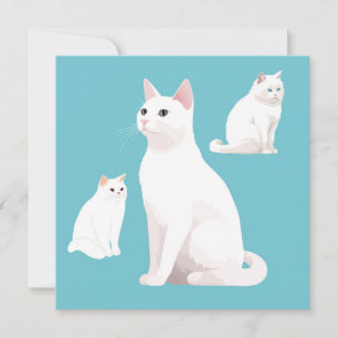 Zurückhaltende Katze Geburtstagskarte