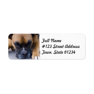 Zurücksetzen des Boxer-Dog-Mailing-Labels