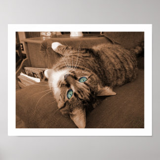 Zurücksetzen in Twill Poster