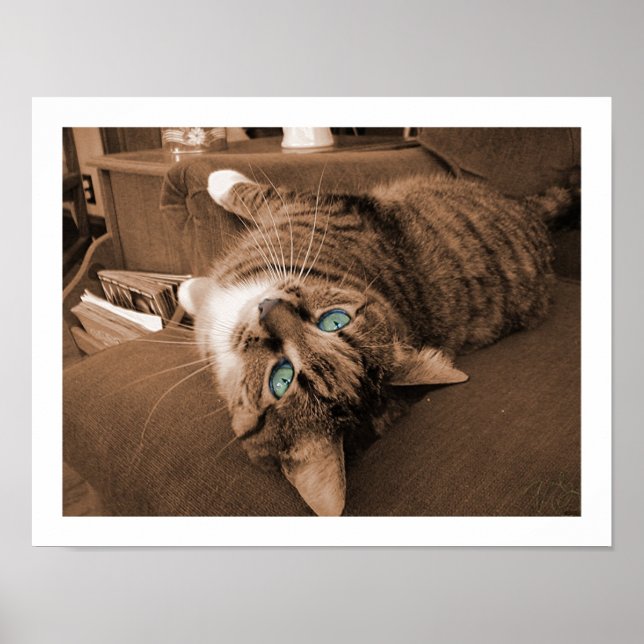 Zurücksetzen in Twill Poster (Vorne)