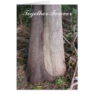 Zusammen für immer ~ Karte