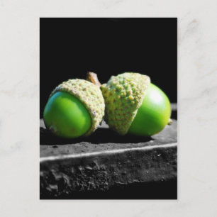 Zusammen für immer postkarte