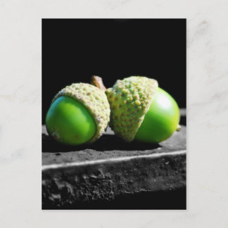 Zusammen für immer postkarte