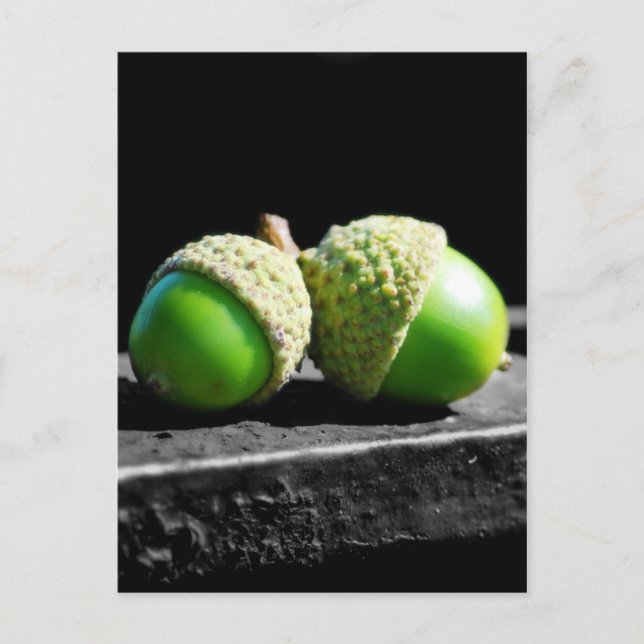 Zusammen für immer postkarte (Vorderseite)