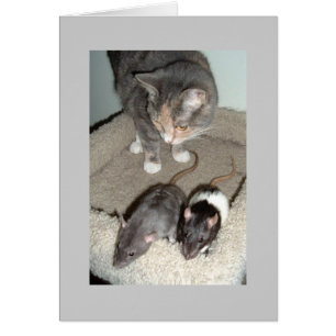 zusammen können wir