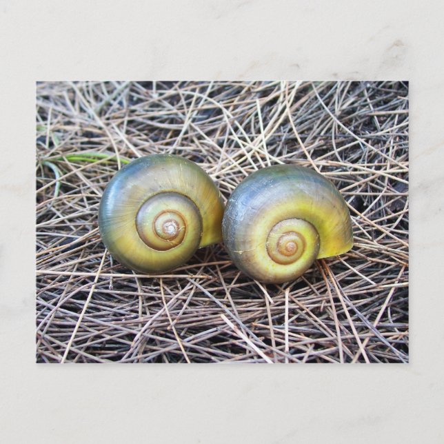 Zusammen warmen postkarte (Vorderseite)