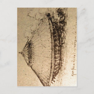 Zusammenfassung Beschreibung Leonardo da Vinci, De Postkarte