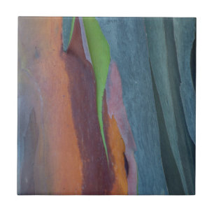 Zusammenfassung des Regenbogen-Gumminbaums Fliese