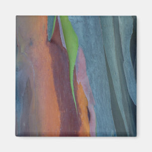 Zusammenfassung des Regenbogen-Gumminbaums Magnet