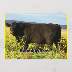 Zusammenfassungs-Zeit!  Vieh-Antrieb - Einladung