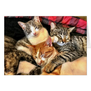 Zusammengehörigkeit