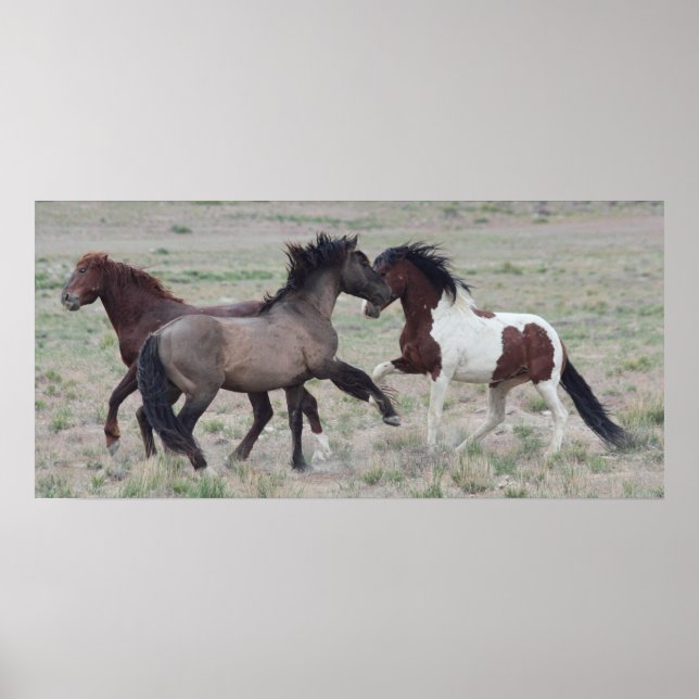 Zusammenkommen Poster (Vorne)