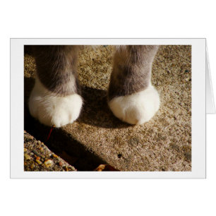 Zusammenpassende Socken