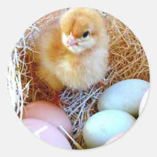 Zusammenpassender Ostern-Aufkleber Runder Aufkleber