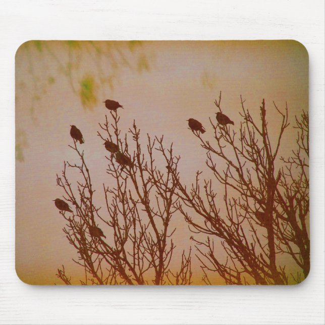 zusammenschließen mousepad (Vorne)