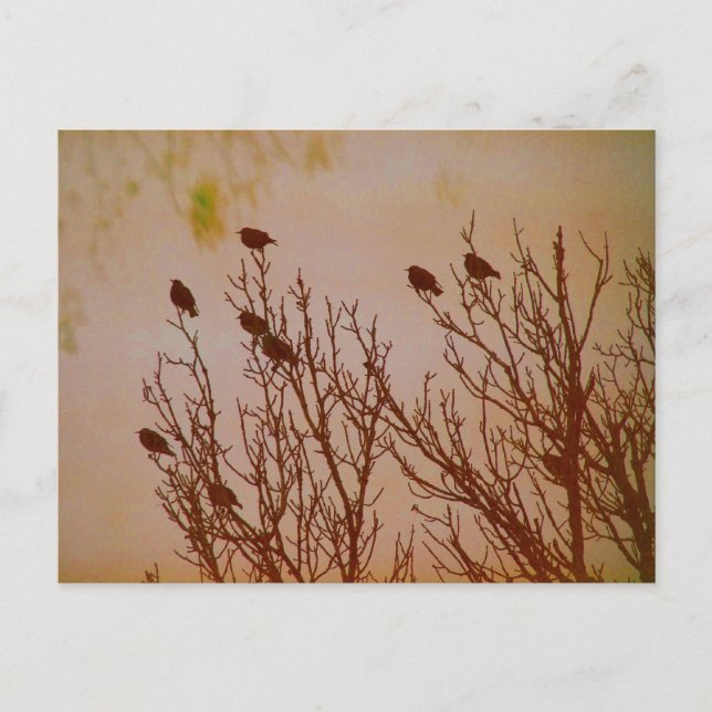 zusammenschließen postkarte (Vorderseite)